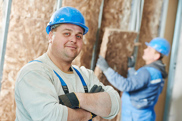 Best Cellulose Insulation  in Galeville, NY